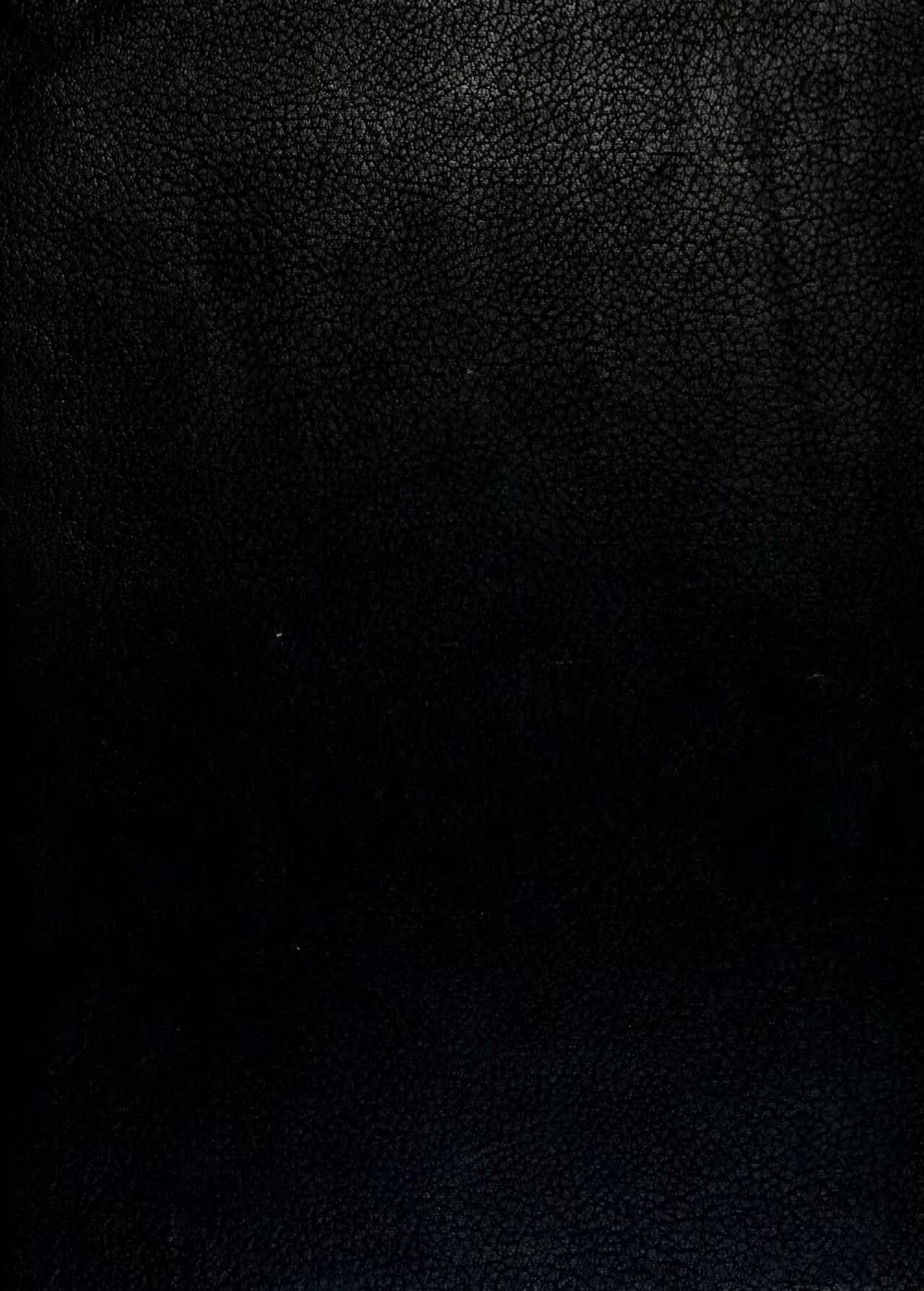 The Columnist (film)