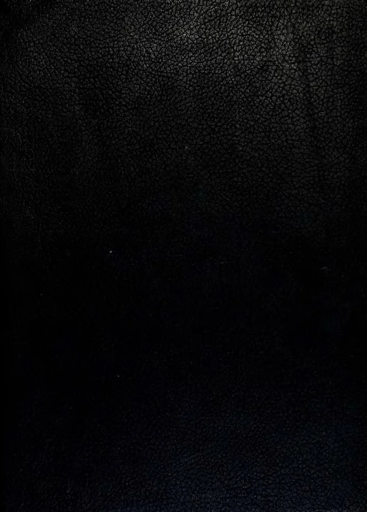 The Columnist (film)