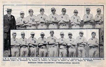Buffalo Bisons