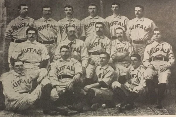 Buffalo Bisons