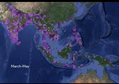 Animal migration