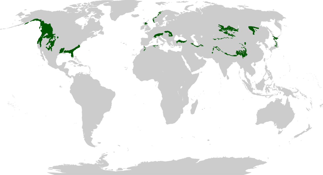 Biome