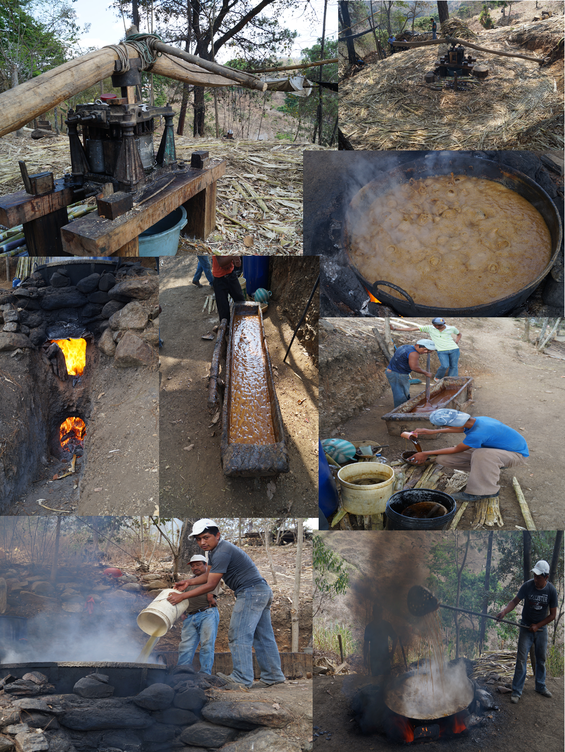 Panela