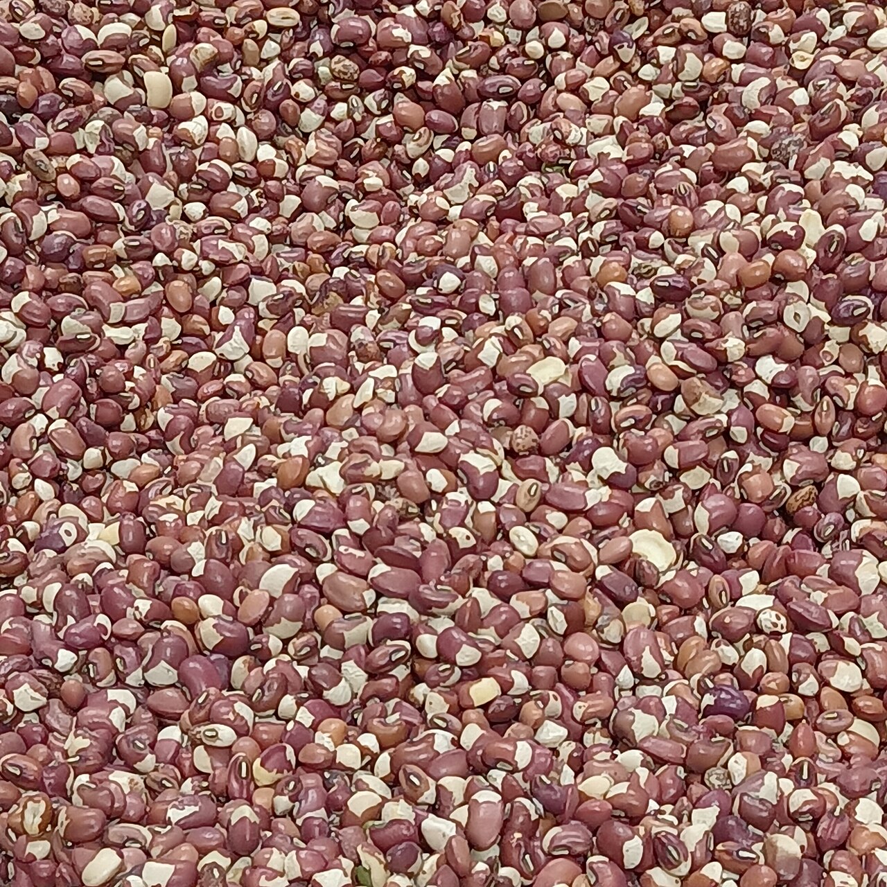 Patterned cowpea