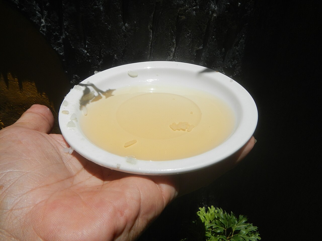Cider apple