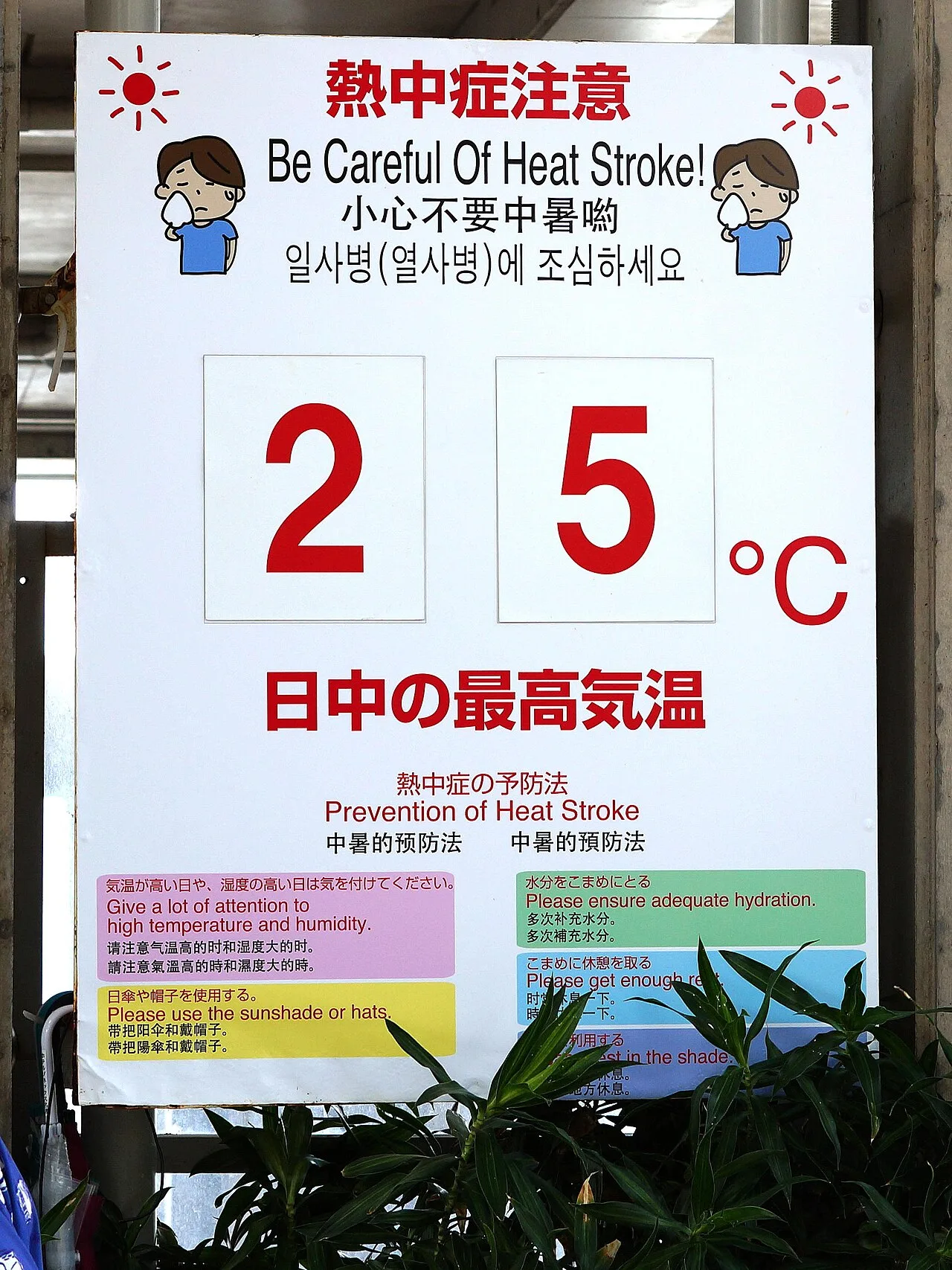 Heat stroke
