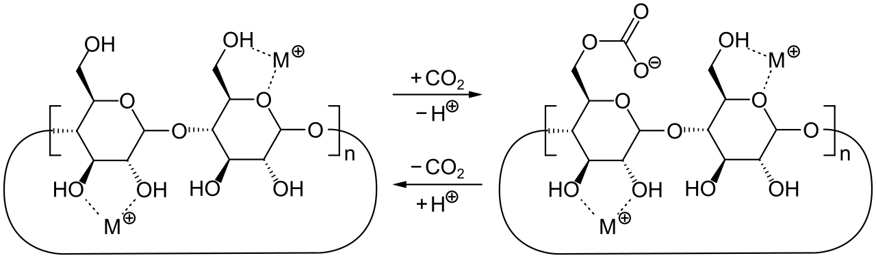 Chemisorption
