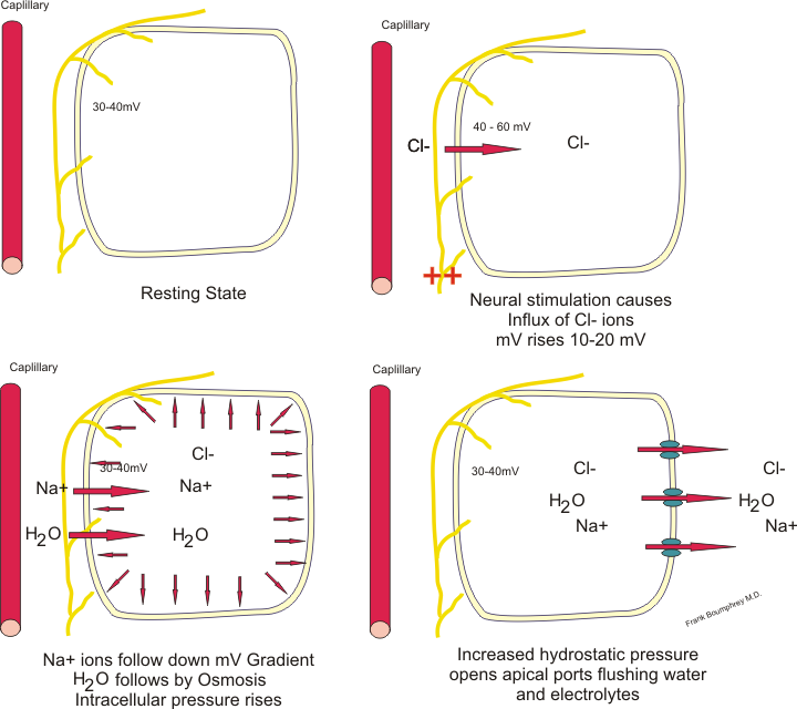 Electrolytic cell