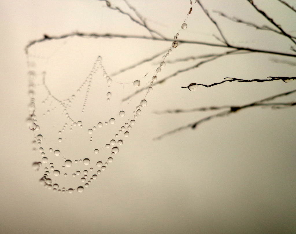 Bejeweled (series)