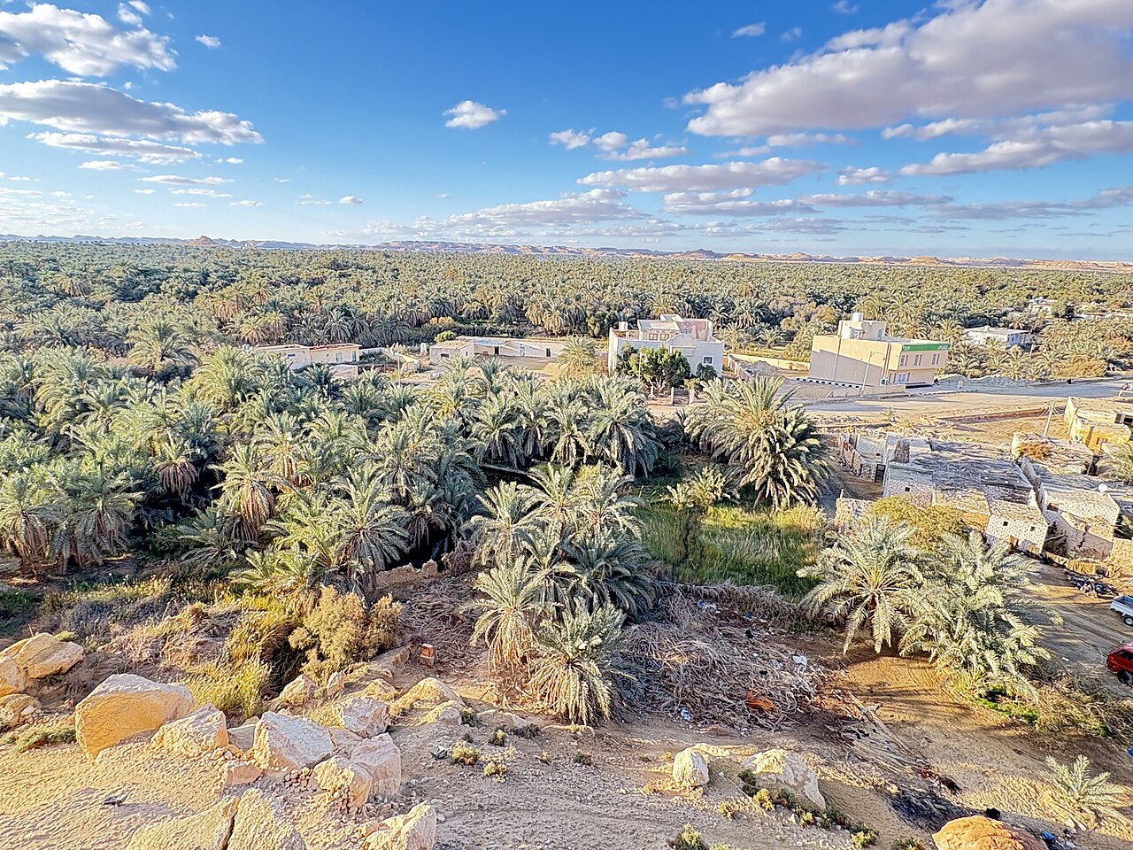 Siwa (beer)