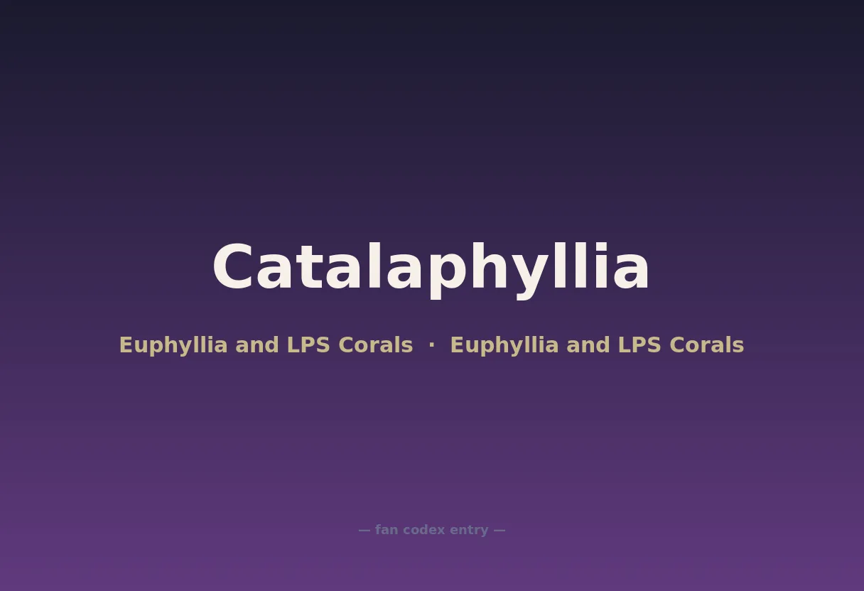 Catalaphyllia