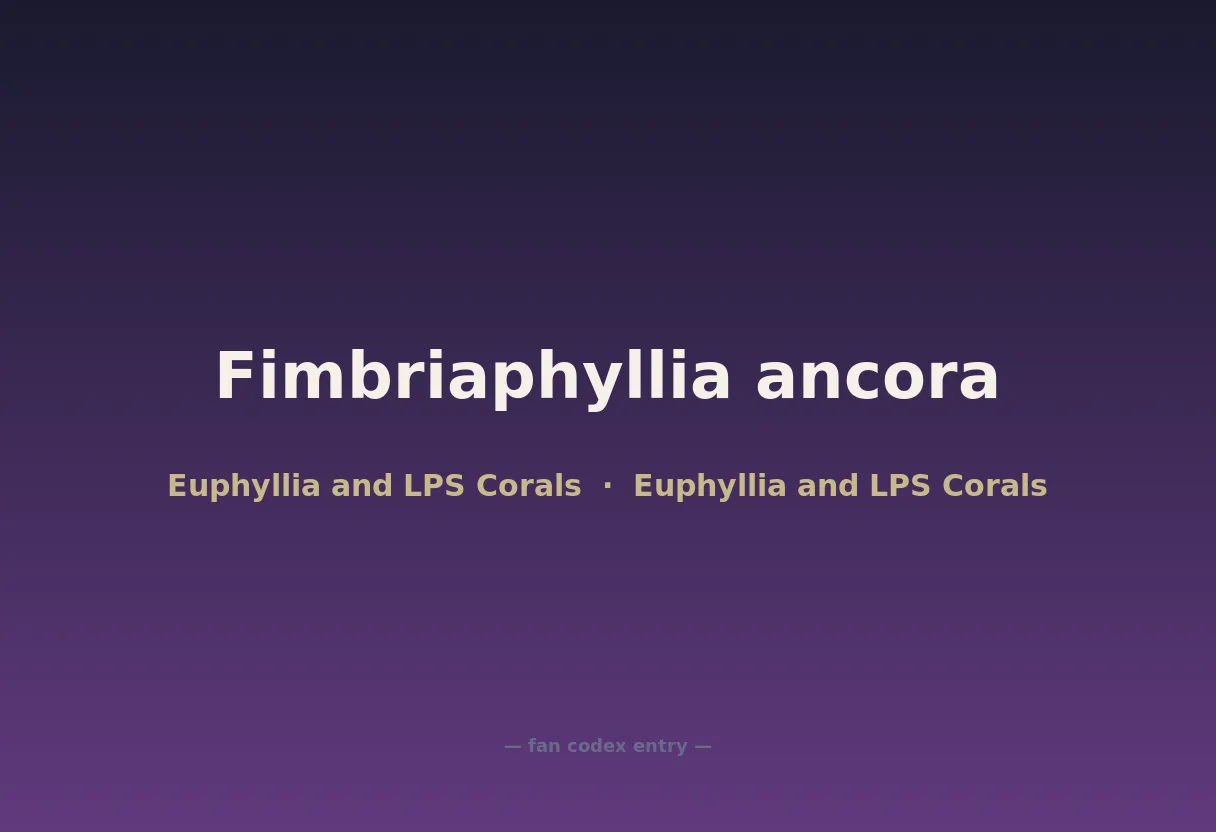 Fimbriaphyllia ancora