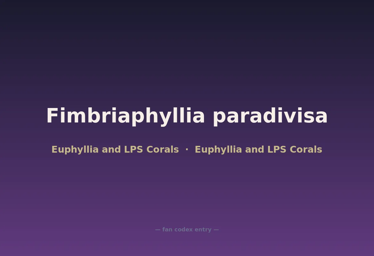 Fimbriaphyllia paradivisa
