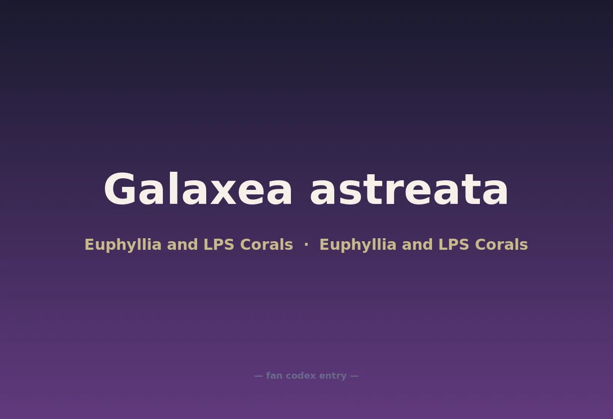Galaxea astreata