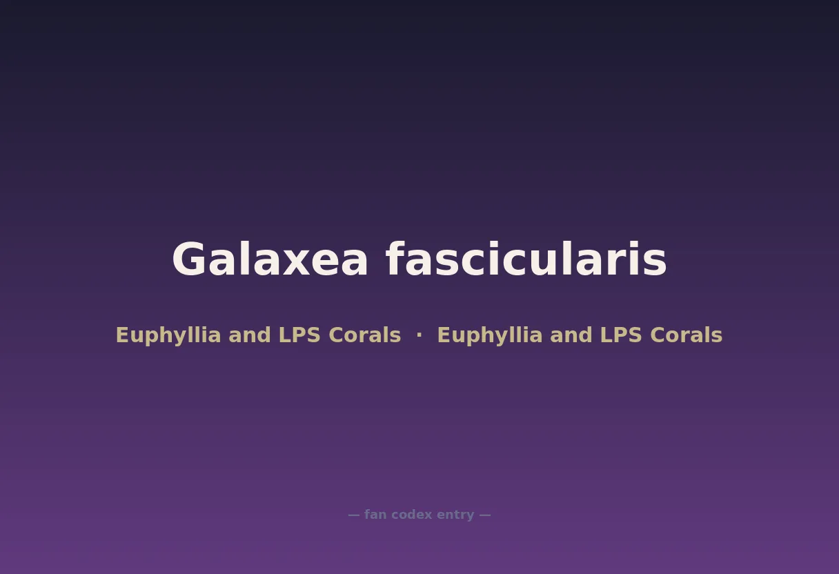 Galaxea fascicularis