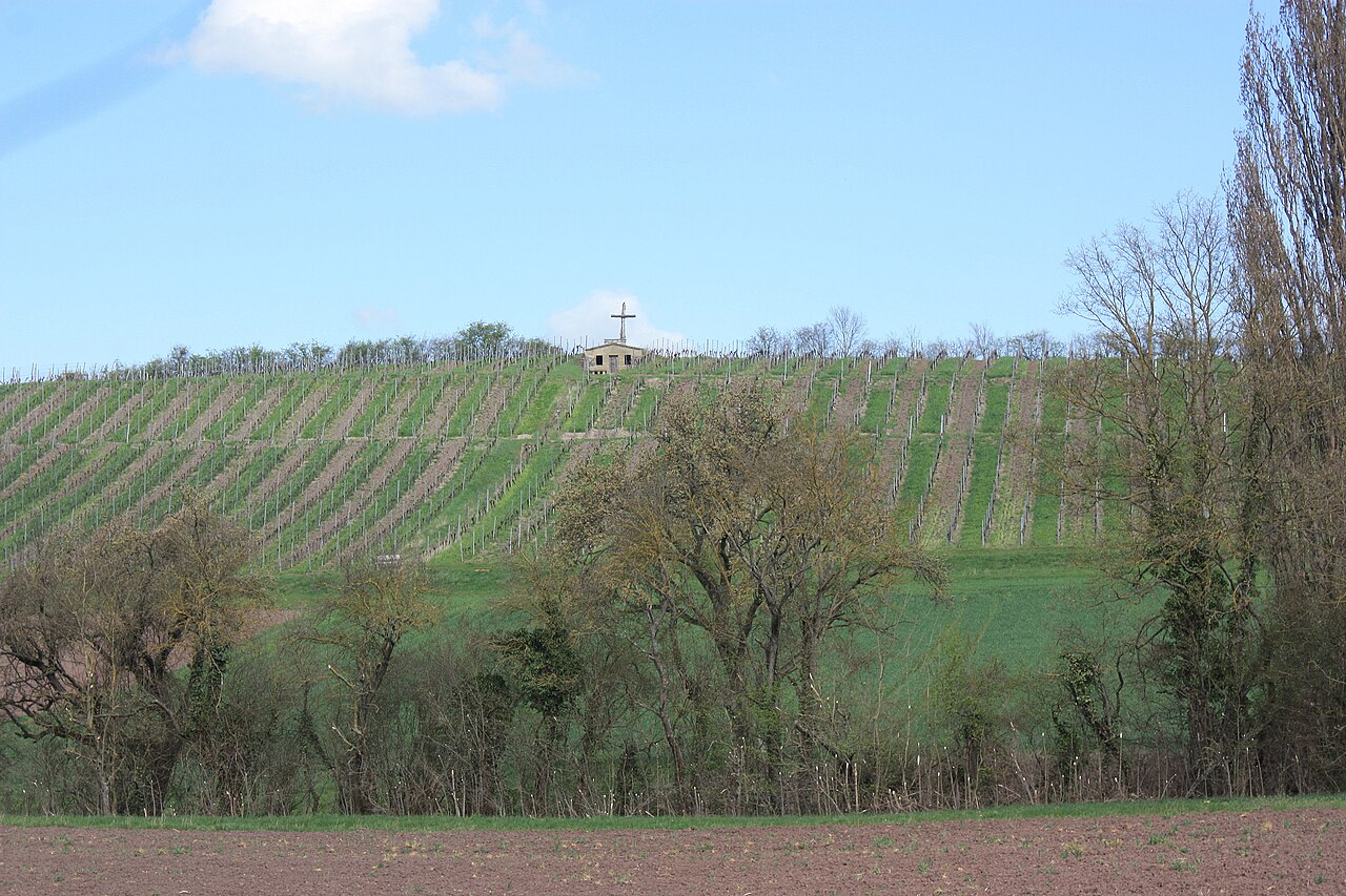 Castell