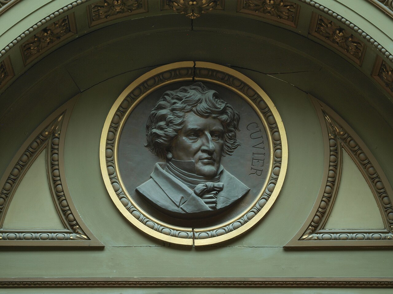 Cuvier, Teyler museum
