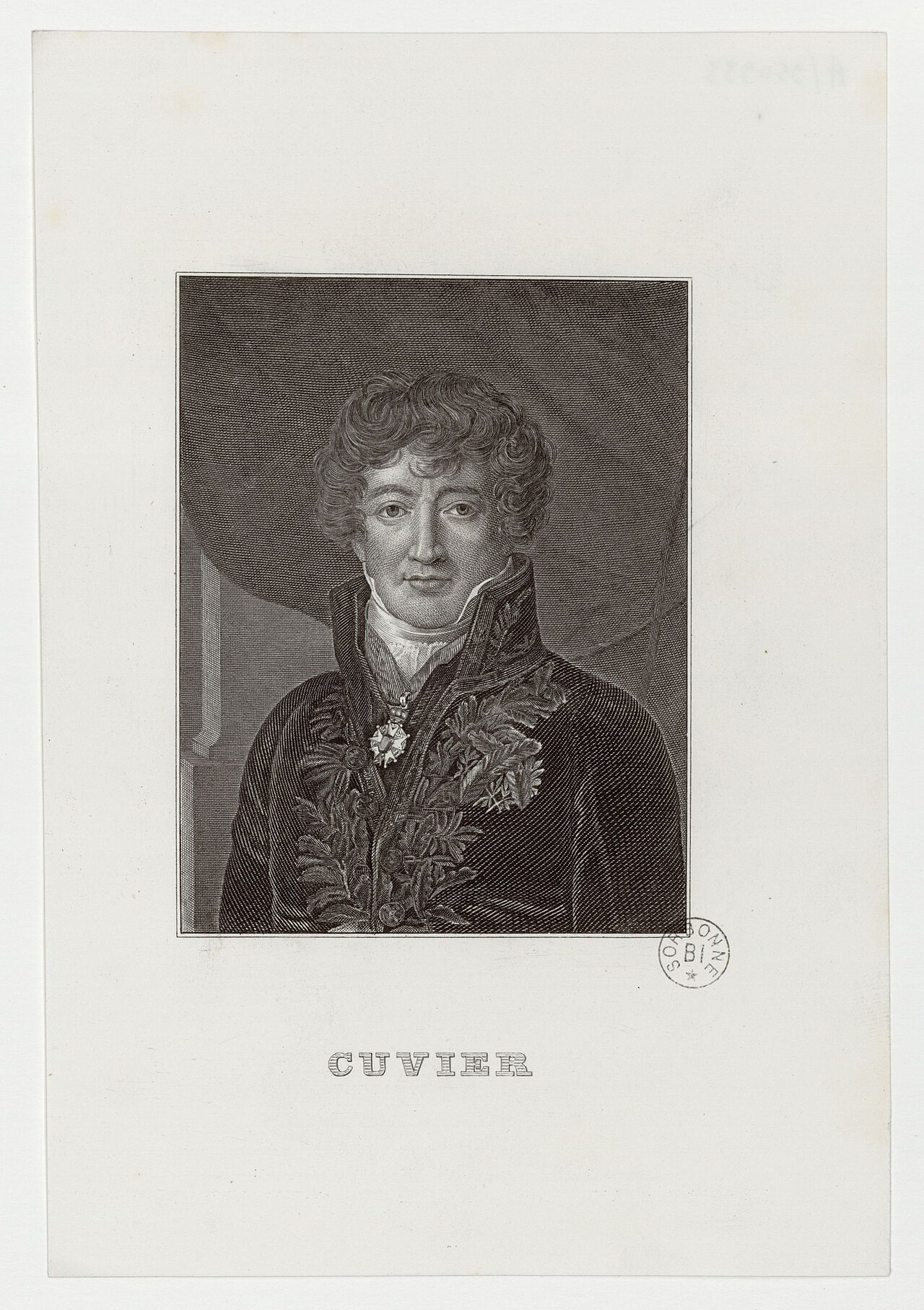 Cuvier