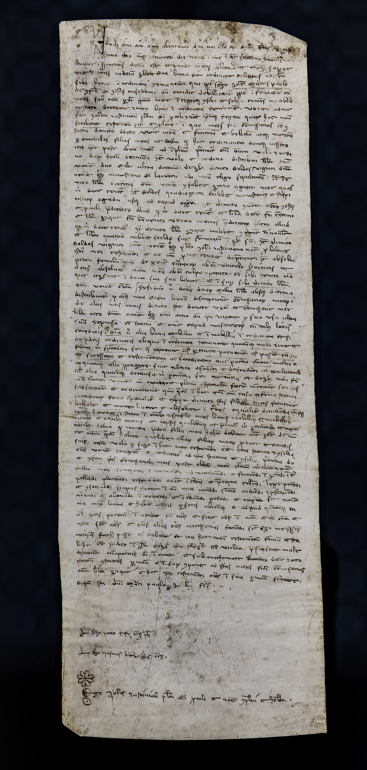 (Venice) Marco Polo will - Biblioteca Nazinale Marciana