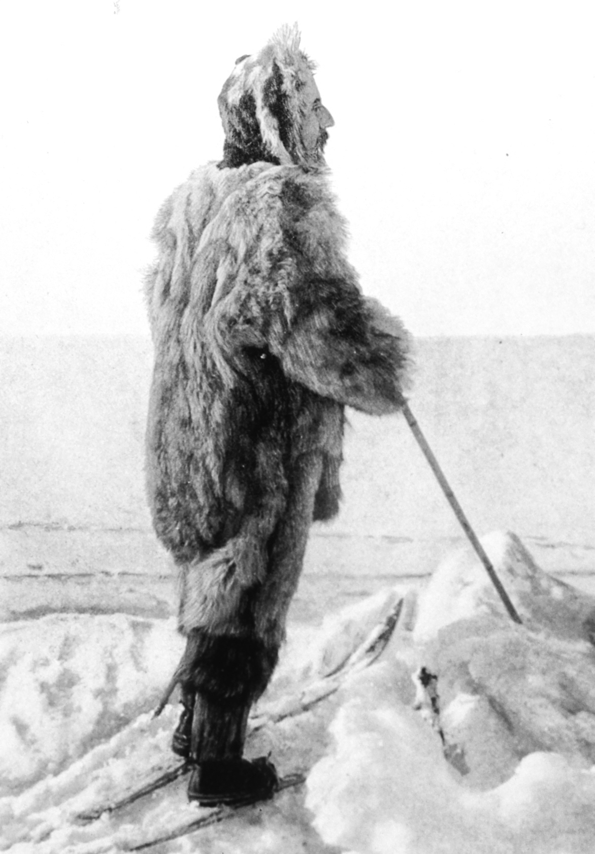 Amundsen in ice