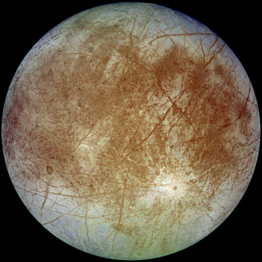 Europa Orbiter