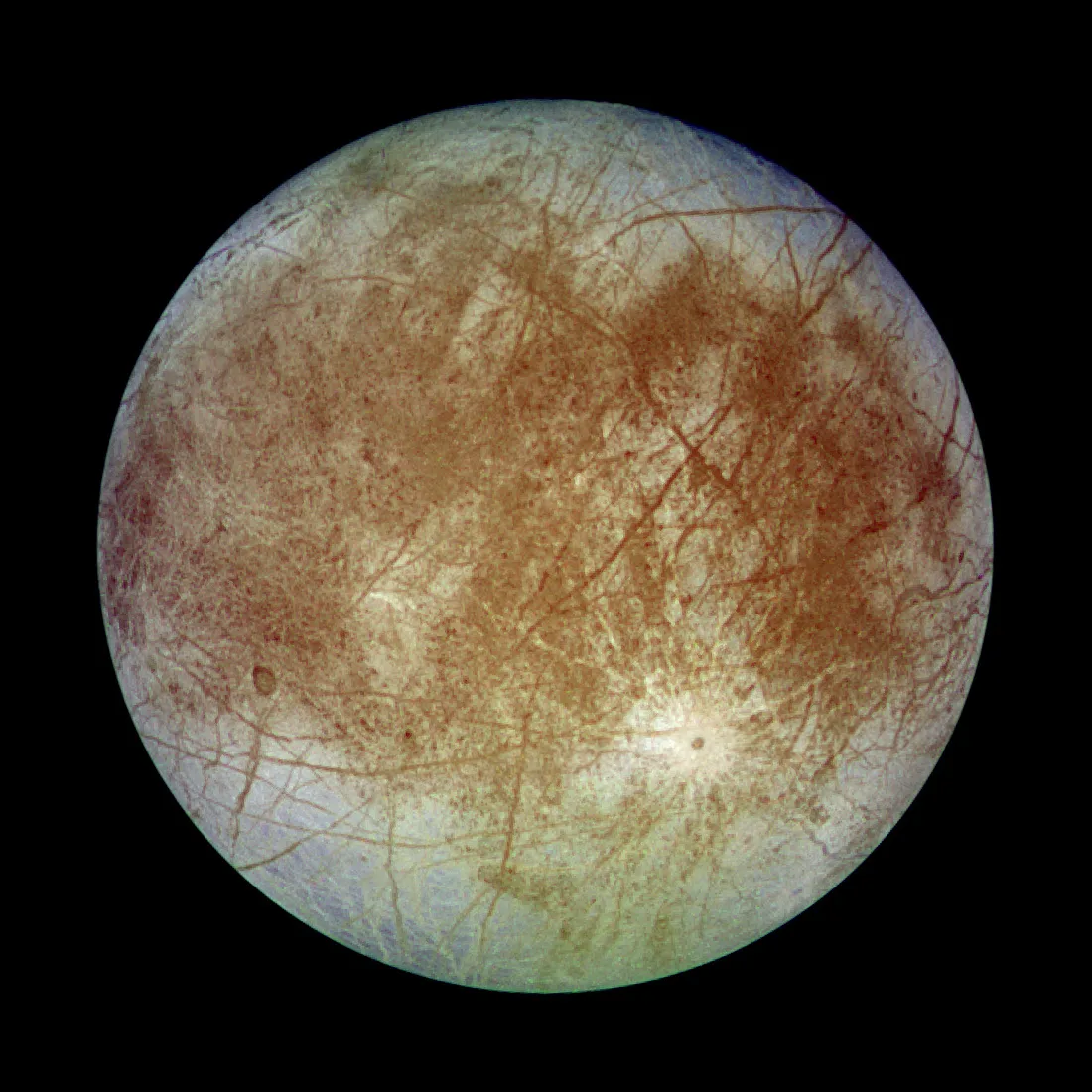 Europa Orbiter