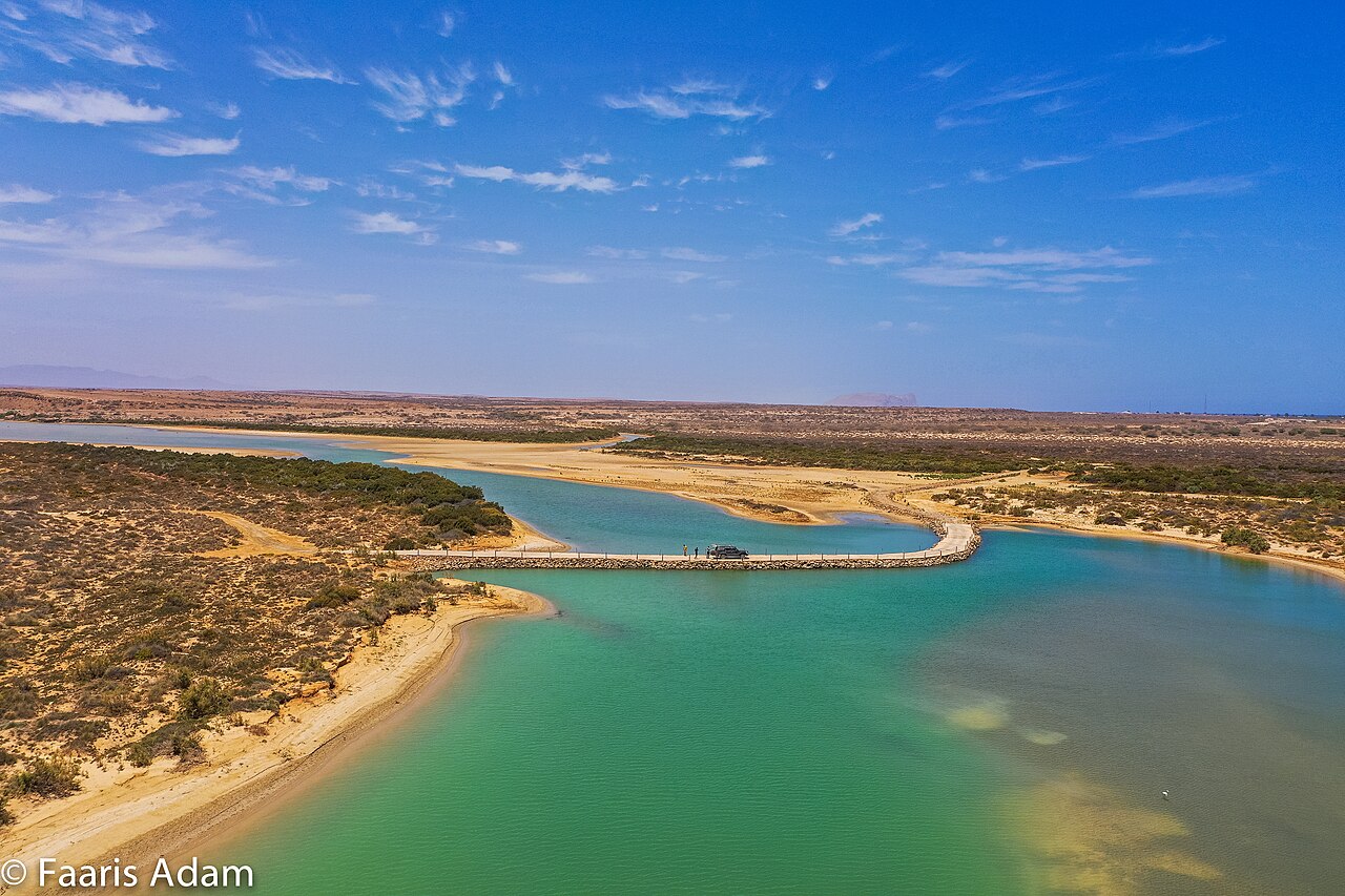 Alula