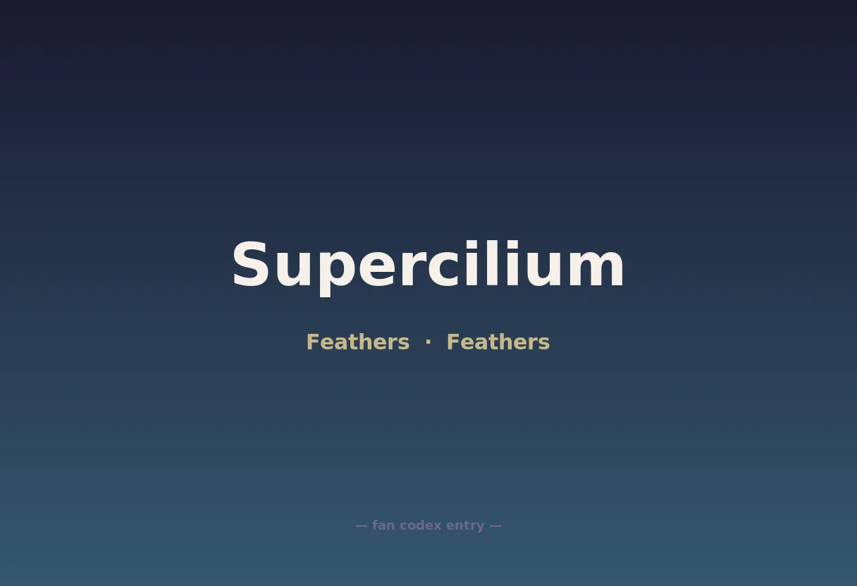 Supercilium