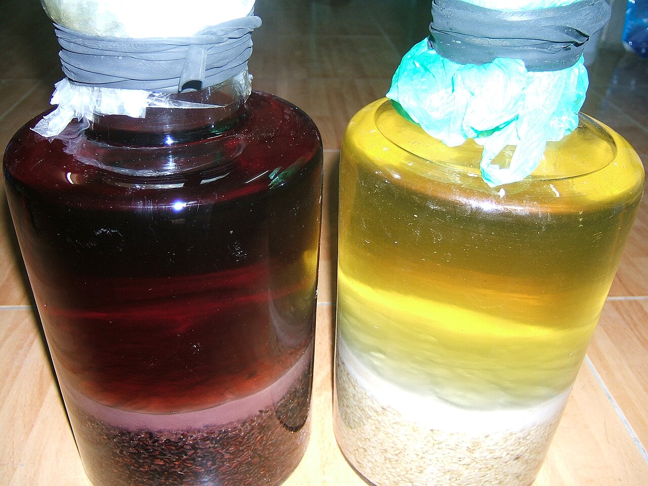 Rượu nếp ngâm