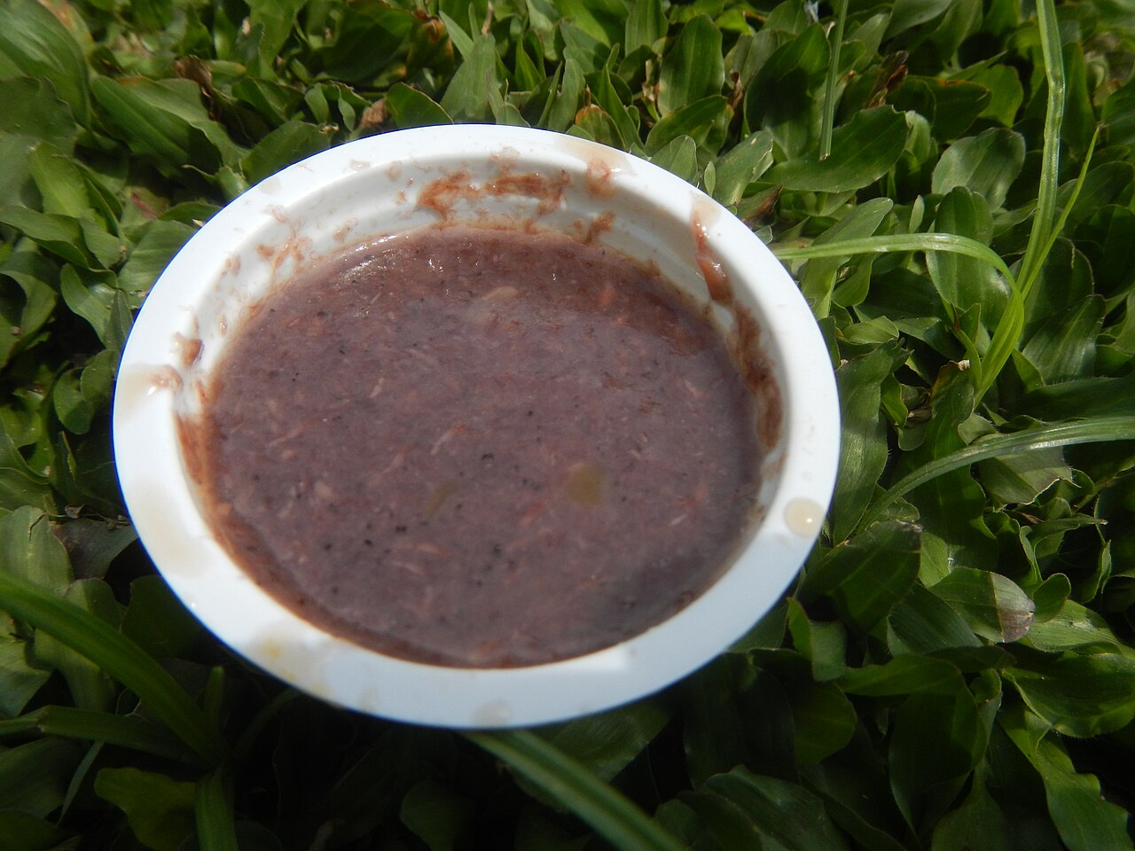 Bagoong monamon