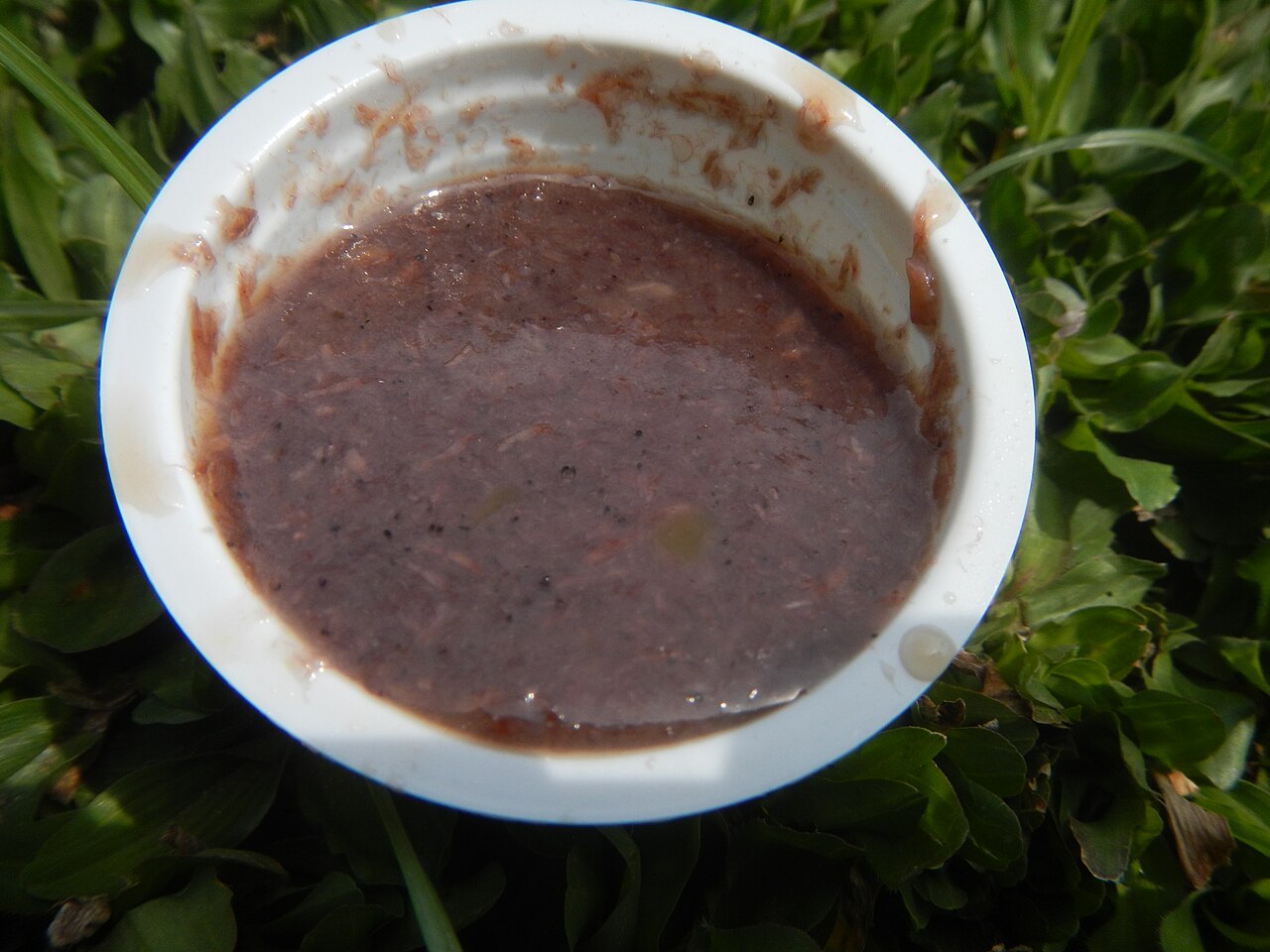 Bagoong monamon