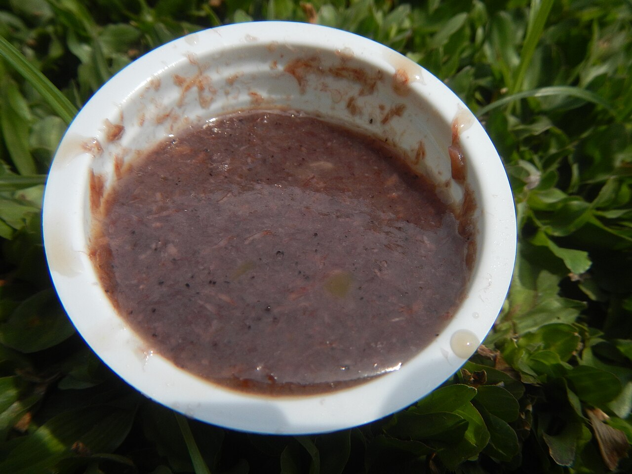 Bagoong monamon