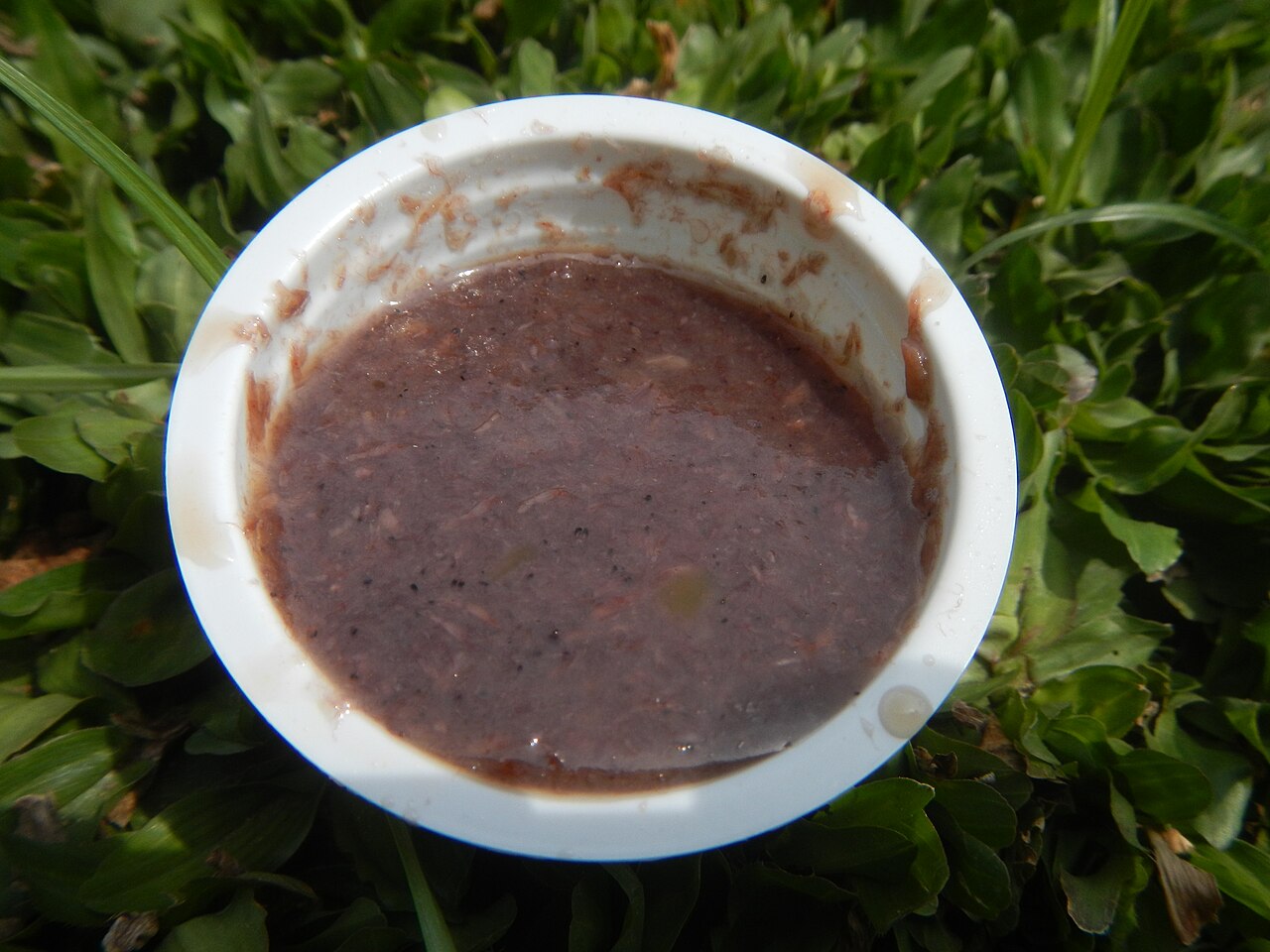Bagoong monamon