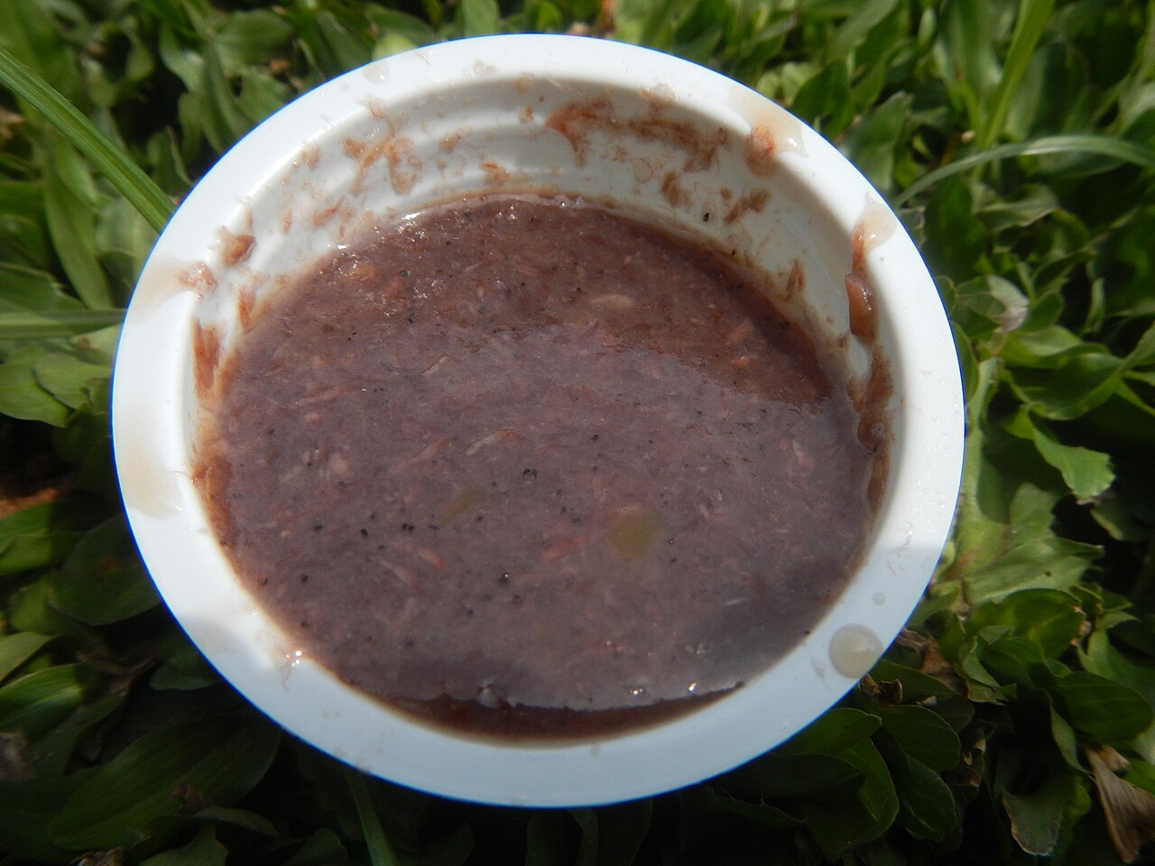 Bagoong monamon