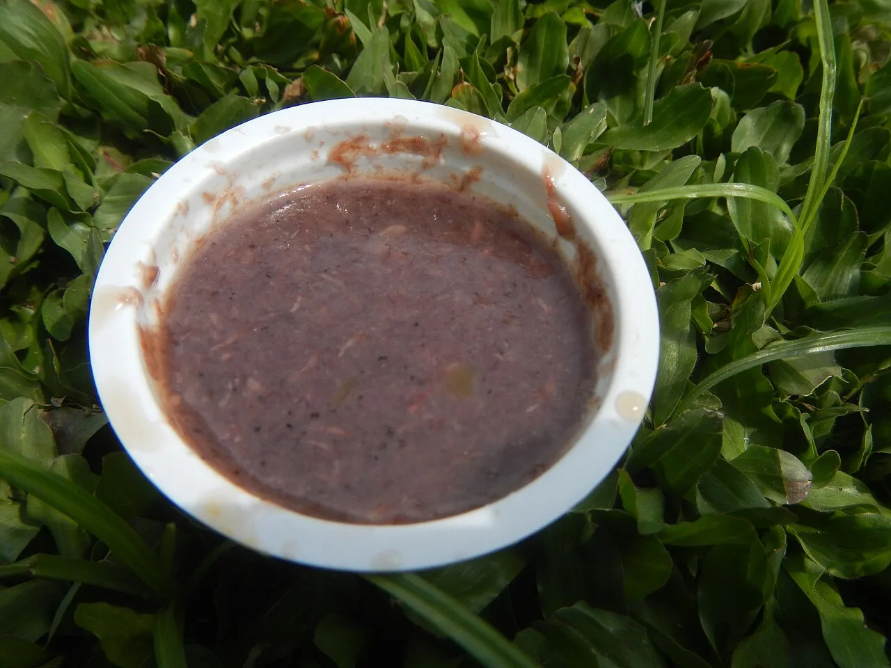 Bagoong monamon