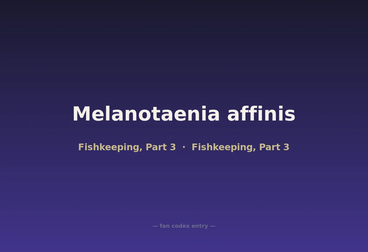 Melanotaenia affinis