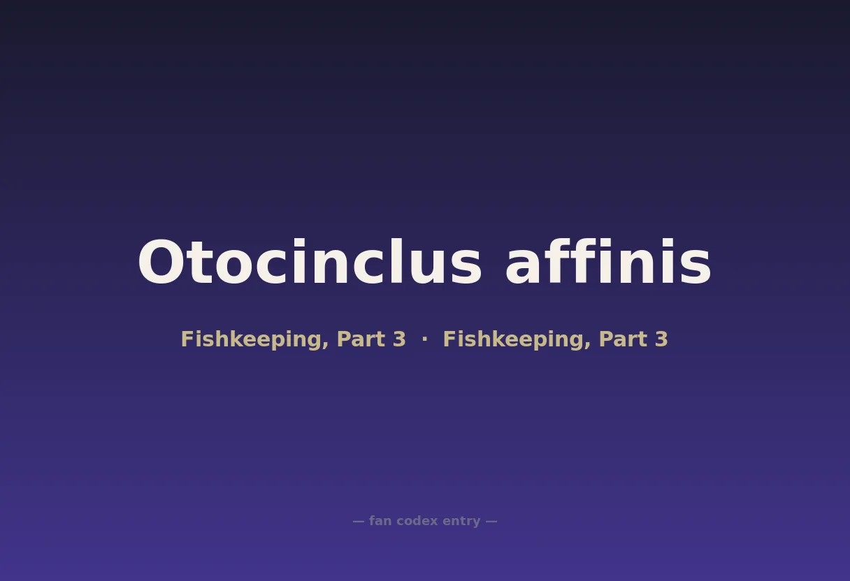 Otocinclus affinis