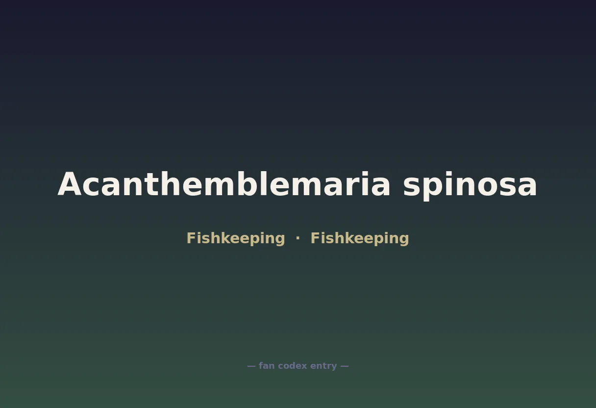 Acanthemblemaria spinosa