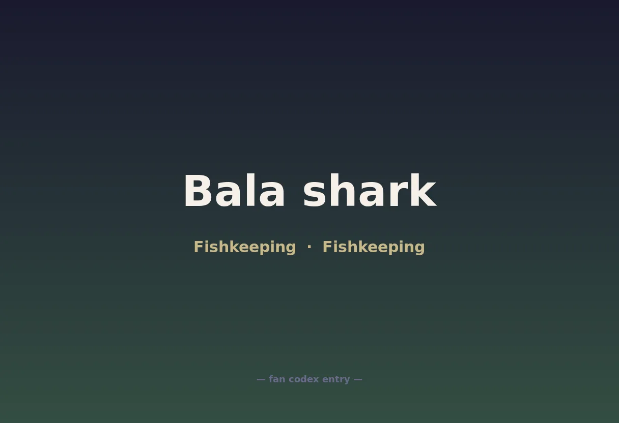 Bala shark