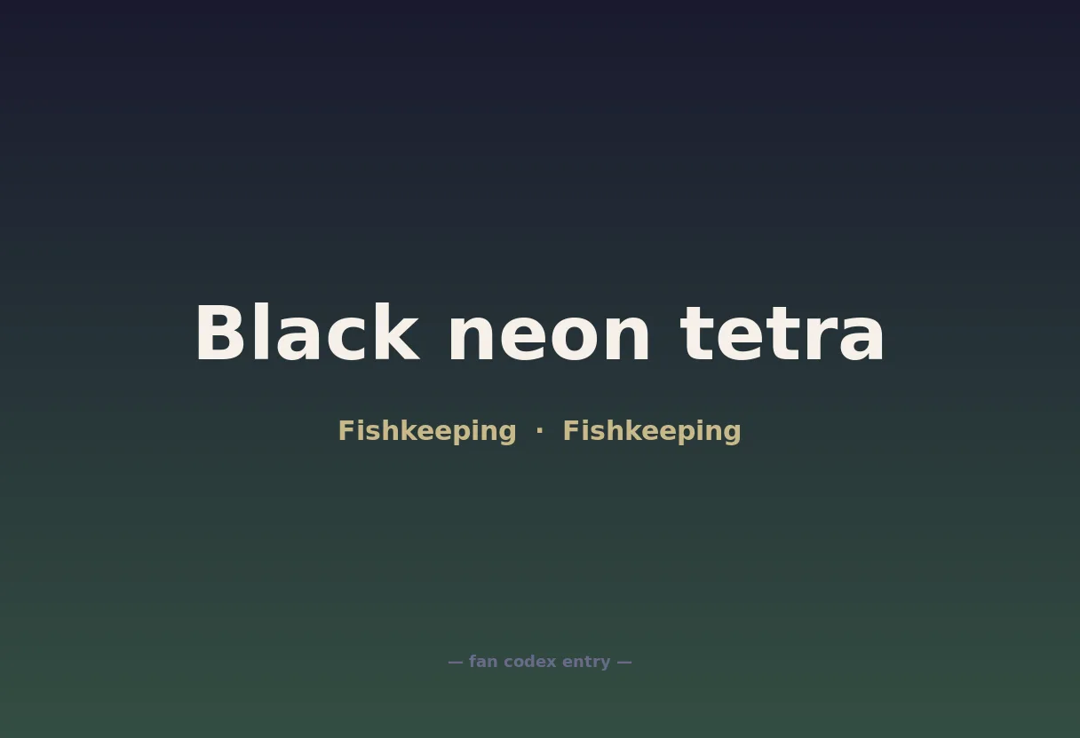 Black neon tetra