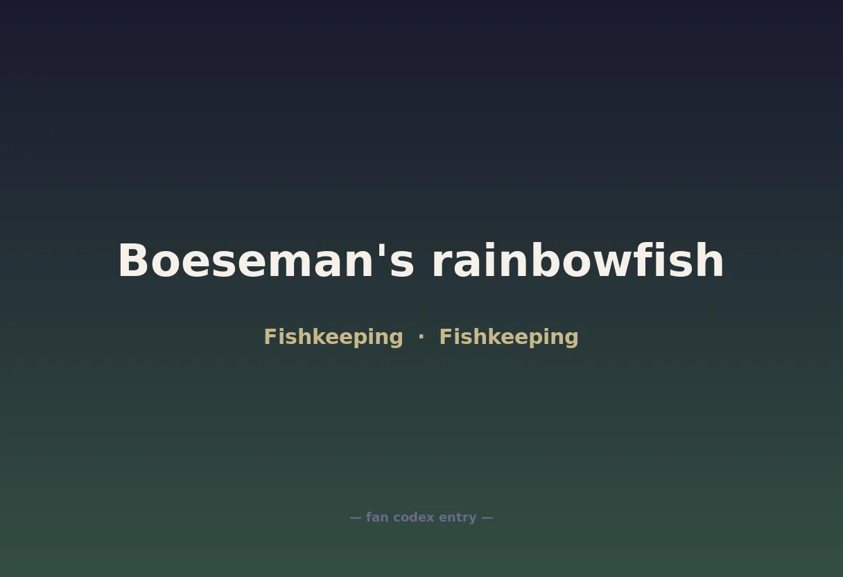 Boeseman's rainbowfish