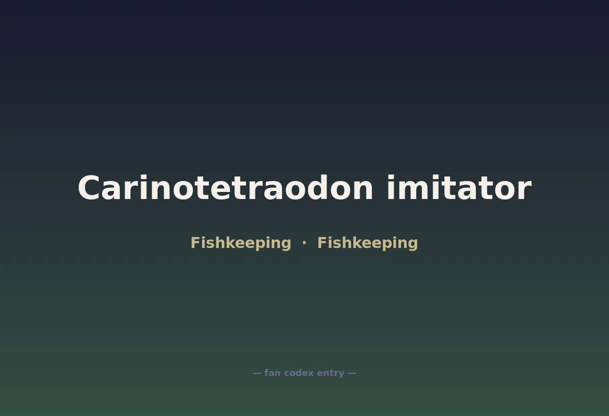 Carinotetraodon imitator