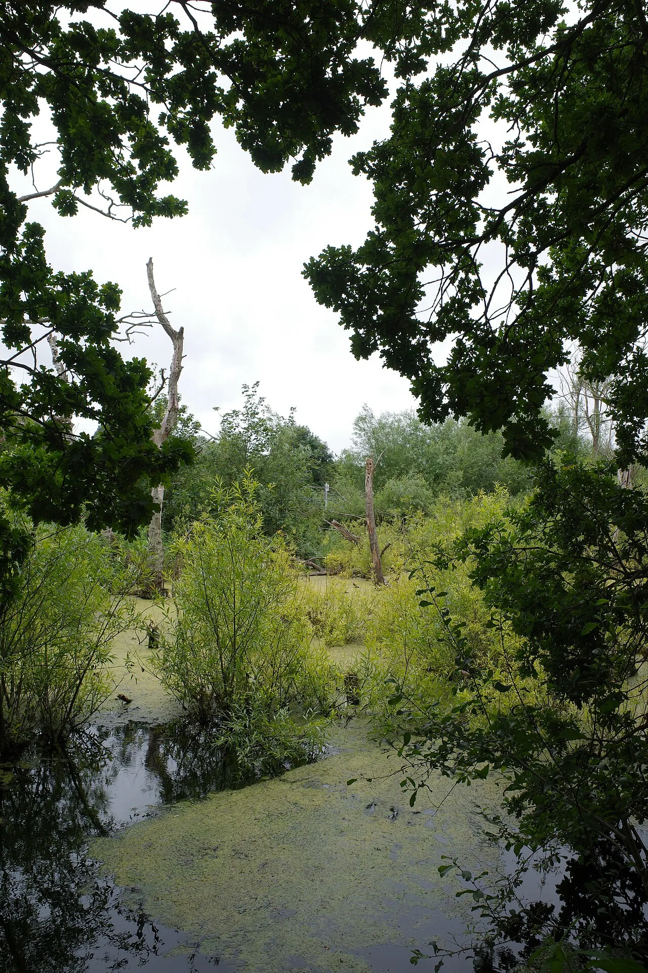 Area navigation