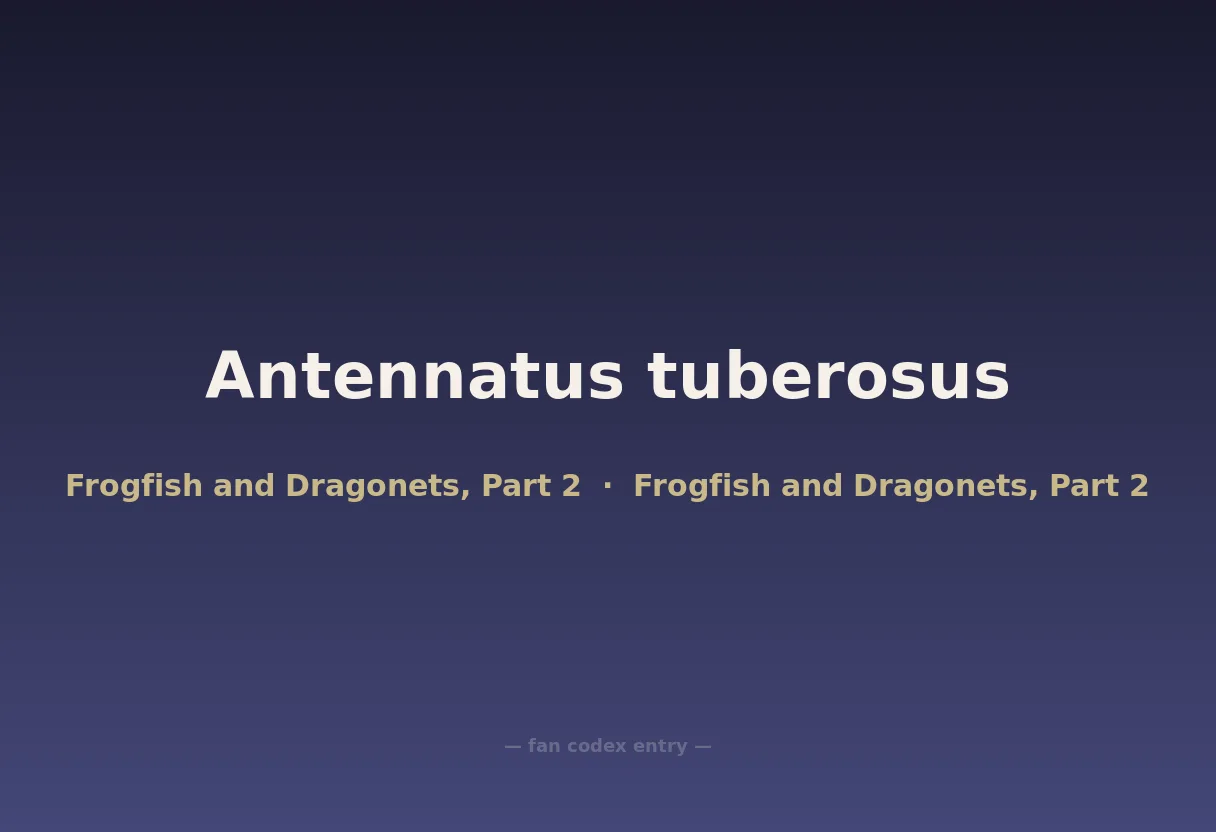 Antennatus tuberosus
