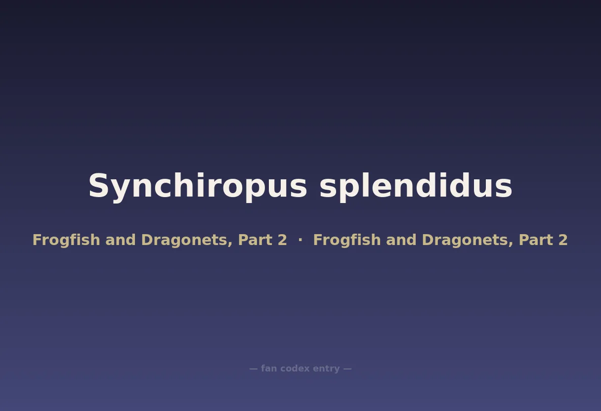 Synchiropus splendidus