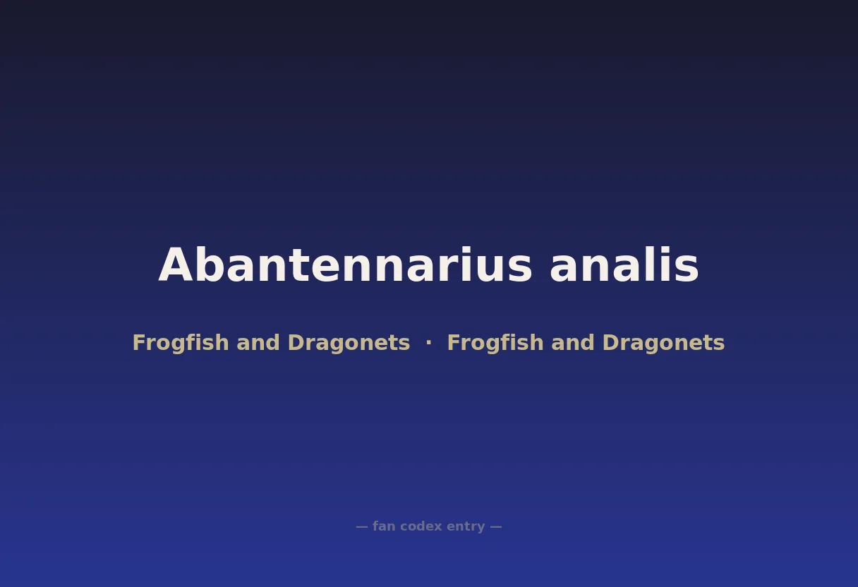 Abantennarius analis