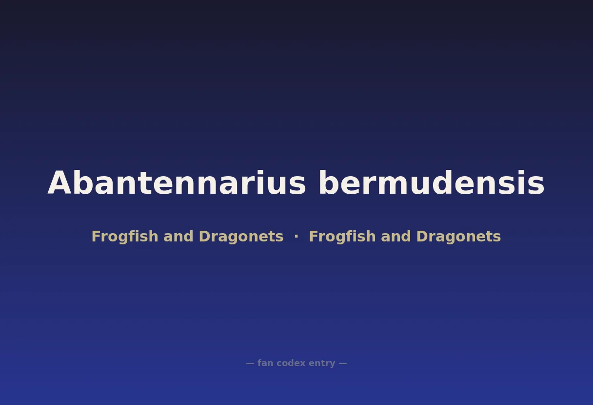 Abantennarius bermudensis