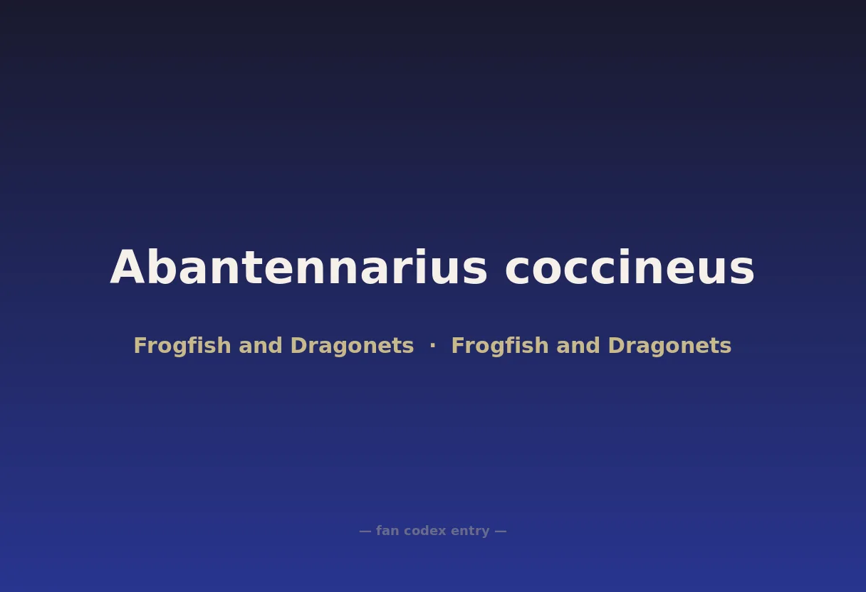 Abantennarius coccineus