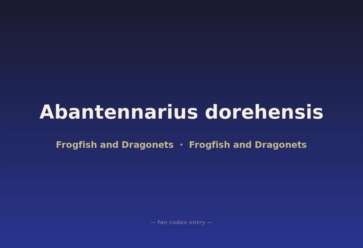 Abantennarius dorehensis