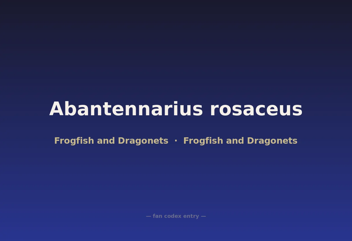 Abantennarius rosaceus